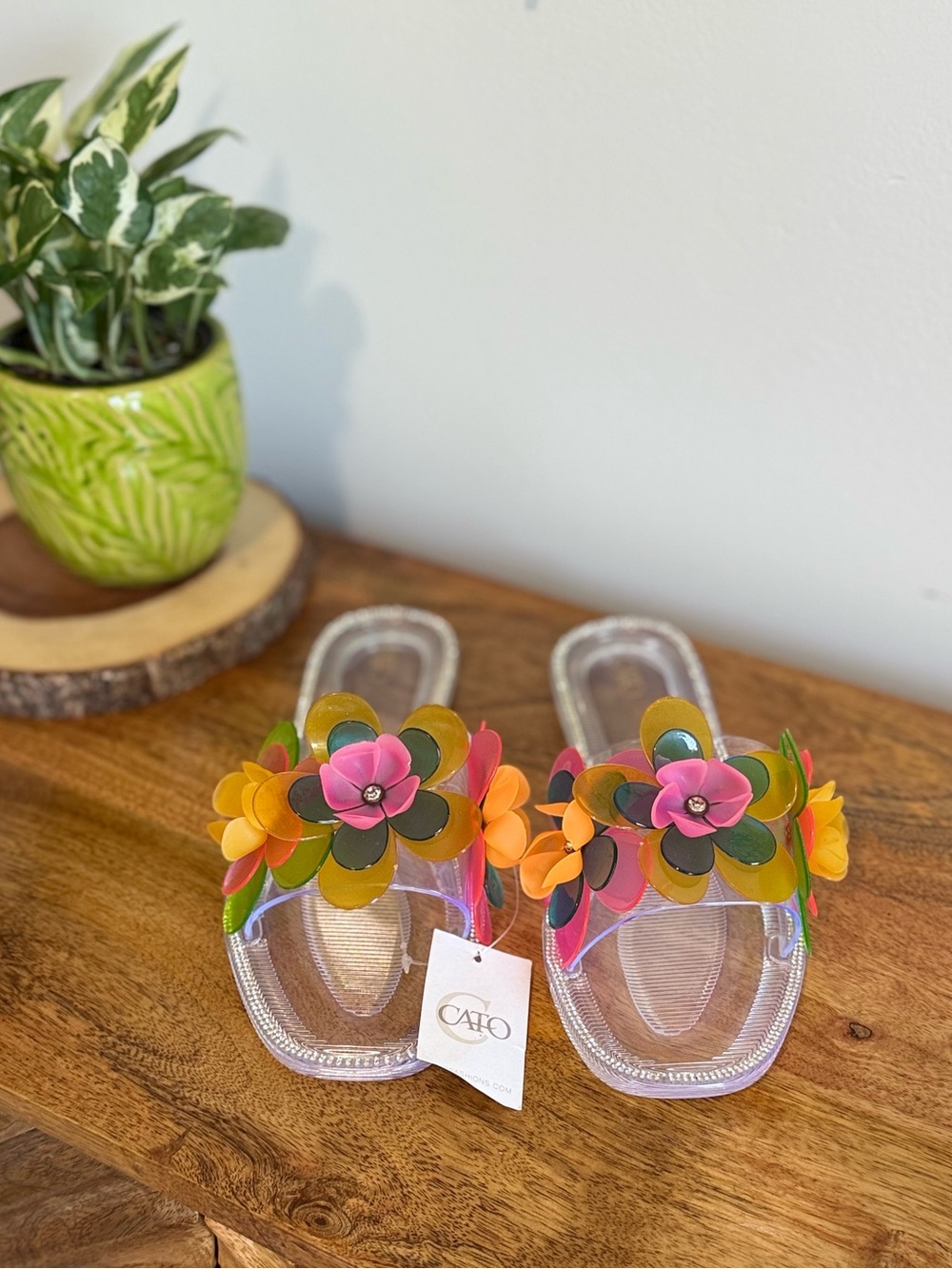 NWT Cato Slip clear flop sandals 11